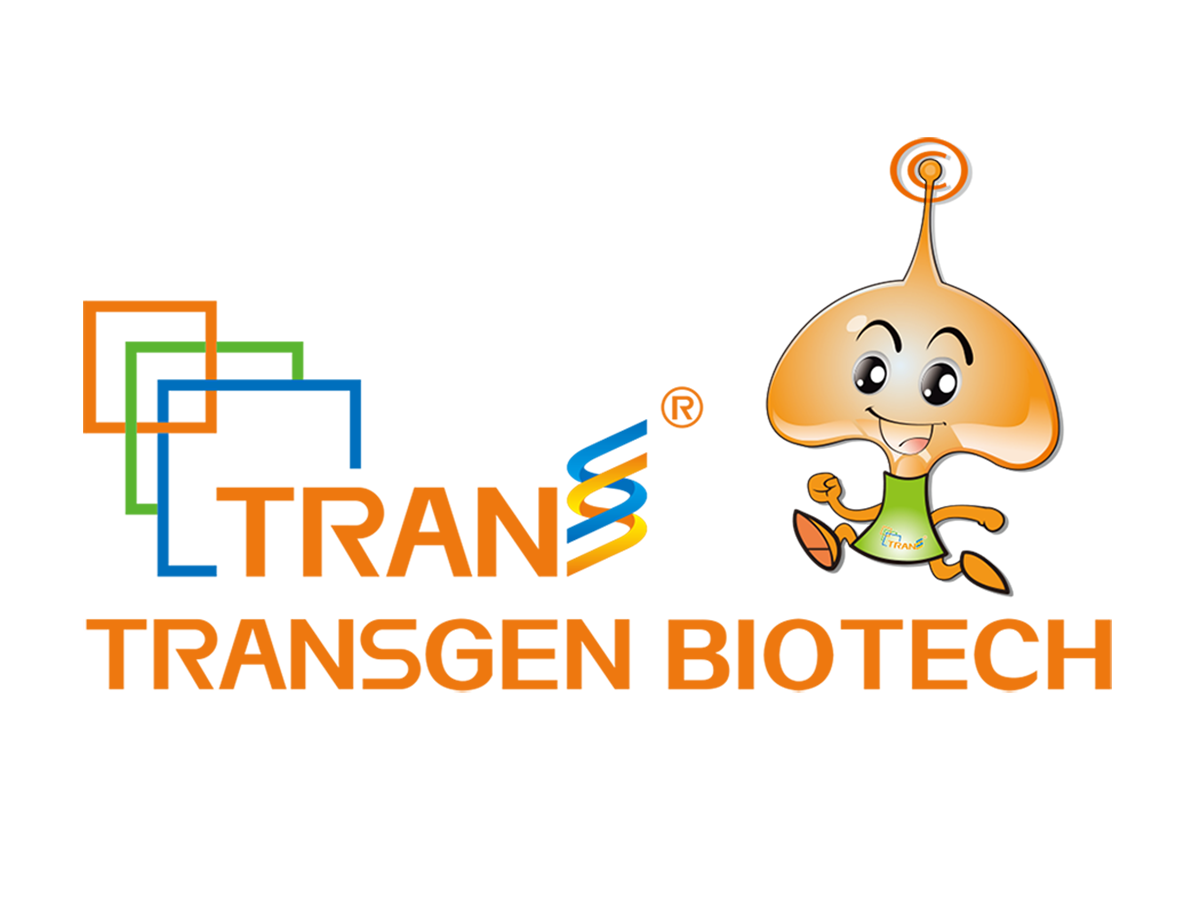 Logo_Transgen_com_Jelly